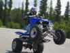 jam-quad1.jpg (279224 Byte)
